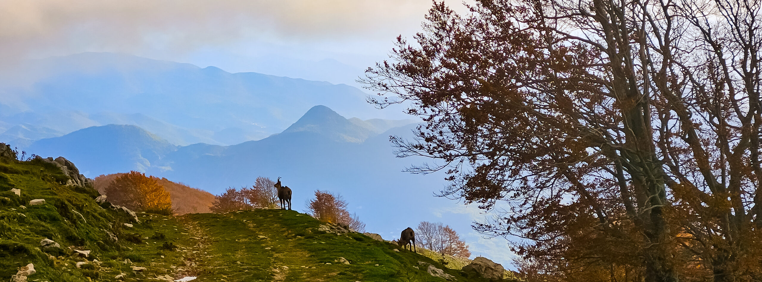 Escursione nel Parco Abruzzo per Rocca Altiera