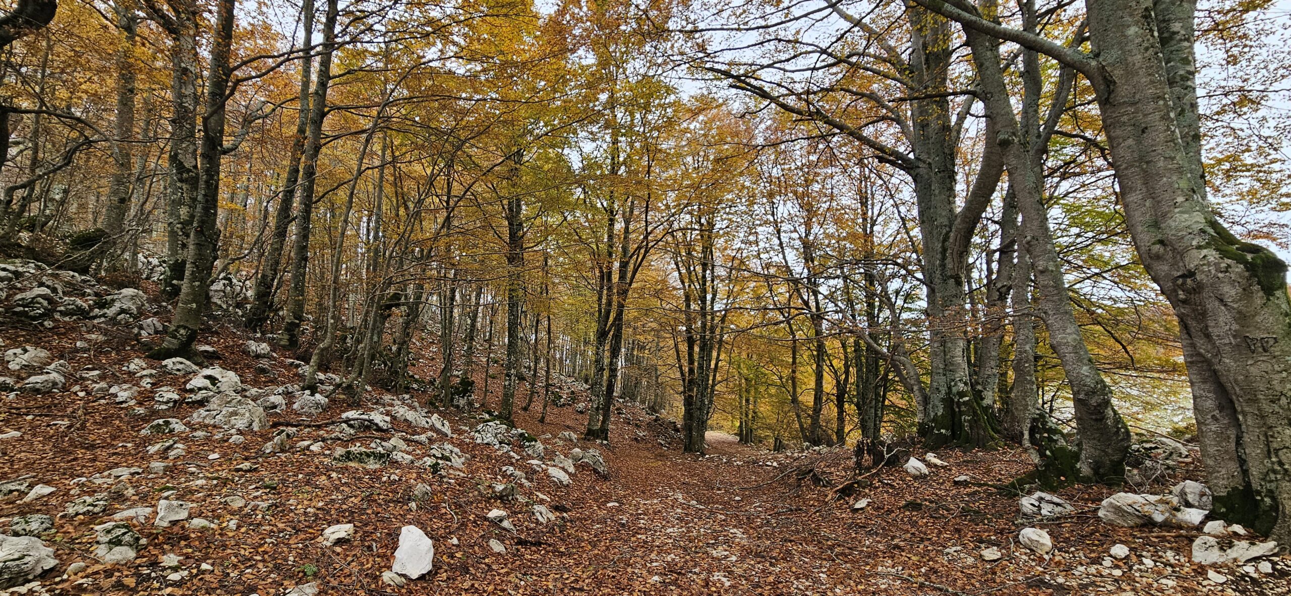 Escursione nel Parco Abruzzo per Rocca Altiera