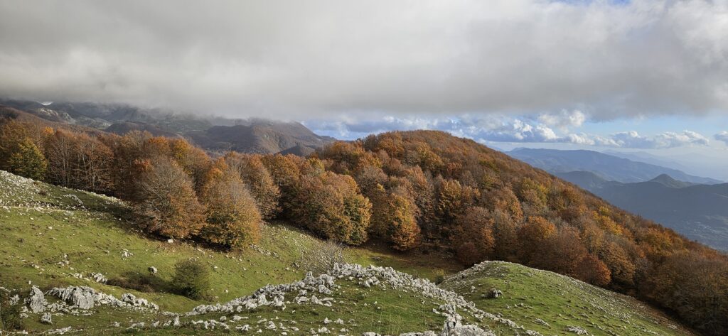 Escursione nel Parco Abruzzo per Rocca Altiera - la faggeta -Settefrati FR - Foto G. Garofoli (11-2023)